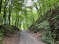 Hohlwege, Fuß- und Fahrwege Eschbachtal