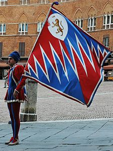 L'année 2006, la première manche du Palio, couru le 2 juillet, a été emportée par le fantino Andrea Mari surnommé Brio, sur le cheval Choci de la contrade de la Panthère[5].