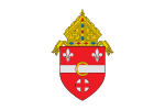 Флаг Римско-католической епархии Аллентауна.svg