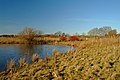 Teich im Naturschutzgebiet "Füllenbruch" in Herford