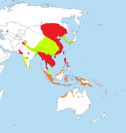 Мапа поширення виду. Червоним гніздовий ареал, салатовим - на перельоті, помаранчевим - на зимівлі