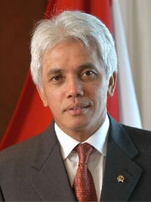 Hatta Rajasa2.jpg