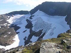 یخچال کوه در اوت ۲۰۰۹