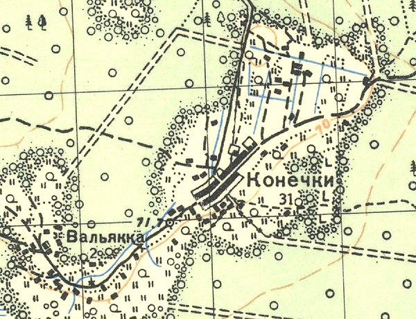 План деревни Конечики. 1939 год