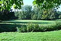 La vallée de la Cléry à La Maison Blanche, Saint-Hilaire-les-Andrésis