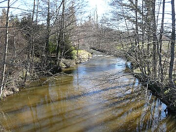 La Loue près du moulin du Pont, à Sarlande.