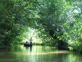 Image illustrative de l’article Marais poitevin