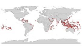 Área de distribución das especies de Millepora.