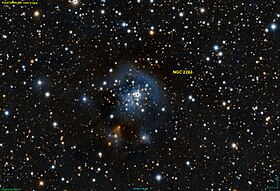 Image illustrative de l’article NGC 2282