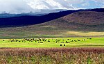 കണ്ണി=https://en.wikipedia.org/wiki/File:Ngorongoro view (28 12 2010).jpg