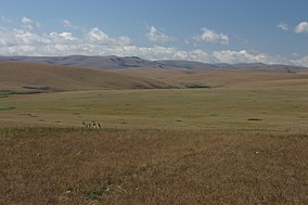 Nyika grassland.jpg