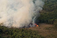 Operação Kuarup, Agosto-2016 (28855666244).jpg