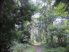 Image illustrative de l’article Forêt domaniale d'Écault