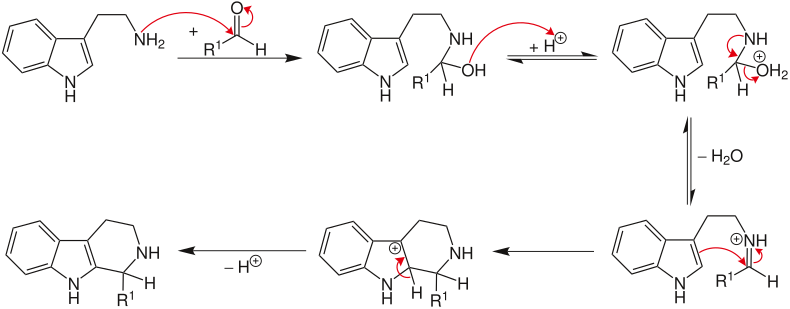 Mechanismus der Pictet-Spengler Reaktion