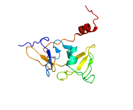 Структура белка LGP2