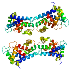 Protein S100A9 PDB 1irj.png