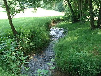 Da Röllbach on da Paradeismühle