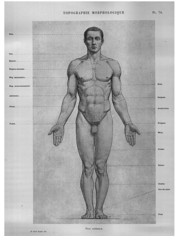 TOPOGRAPHIE MORPHOLOGIQUE Pl. 74