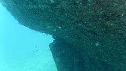 Top of the rudder of the wreck of the Brianna H.