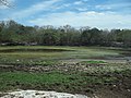 Laguna de Sabakalal.