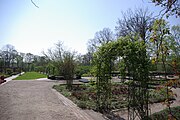 Rosarium (ehem. Küchengarten)