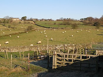 English: Sheepfold