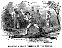Flogging a slave fastened to the ground, illustration in an 1853 anti-slavery pamphlet Slavery21.jpg