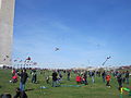 Smithsonian Kite Festival, March 27, 2010