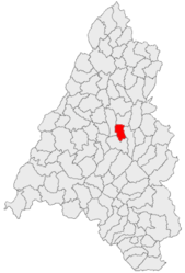 Location in Bihor County