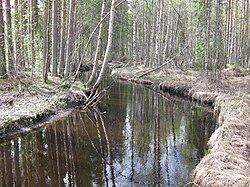 Timo-ojaa Olvasjärventien varrella.