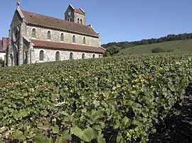 The church in Leuvrigny