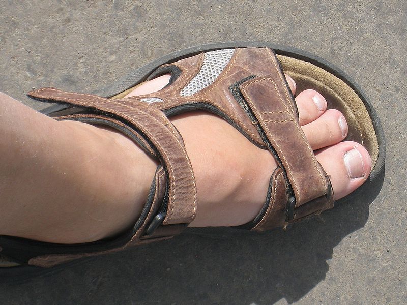 sandal pic