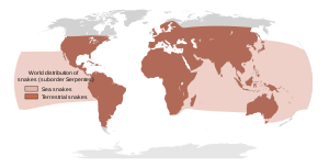 Approximada distribución global de serpentes