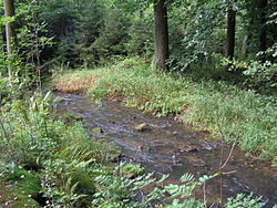 Zbožský potok nad Josefodolem