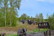 The forest occupies the territory of the village of Krivets
, deserted by urbanization. Arkhangelsk Oblast, Russia Zabroshennaia derevnia Krivets.jpg