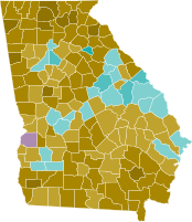 Final results by county