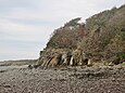 Les falaises du côté nord de la pointe du Château, roches redressées à la verticale.