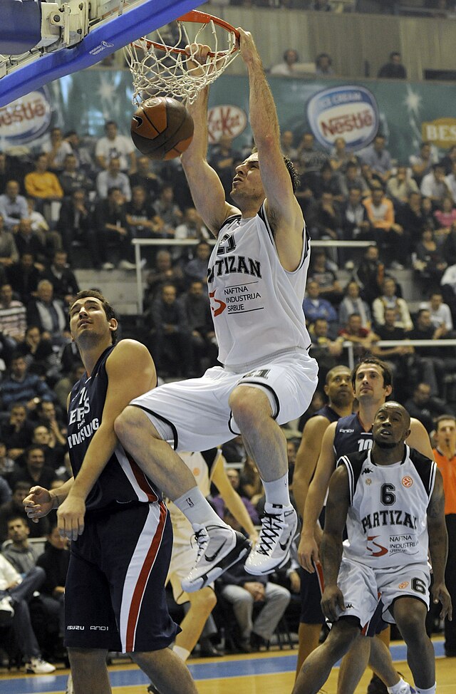 Resultado de imagen de predrag samardziski partizan