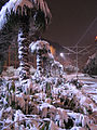 Januar 2011 – Winter in Düsseldorf