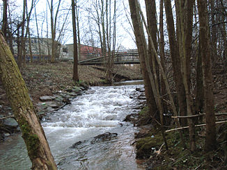 Da Bessenbach voa da Mindung in de Aschaff