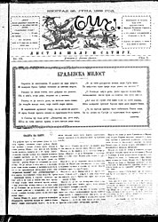 Бич, Видовдански број 13, 25. јун 1889.