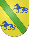 Blason