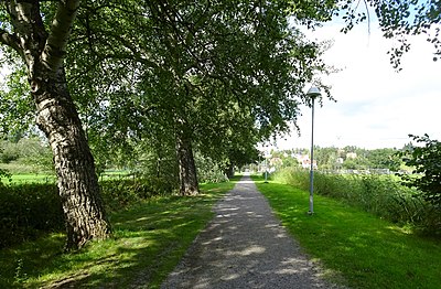 Breviks Stora Allén 1940 och 2021, vy mot norr från ungefär samma plats.