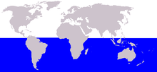 Cetacea range map Antarctic Minke Whale.png