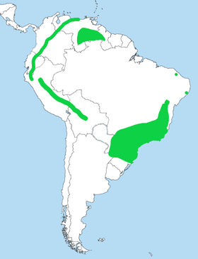 Distribución geográfica del tovacá colicorto.