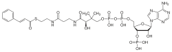 Циннамоил-CoA.svg