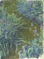 Claude Monet. "Iirised" - violetsed toonid on koobaltvioletiga segatud