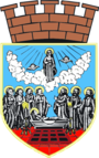 Zrenjanin – znak