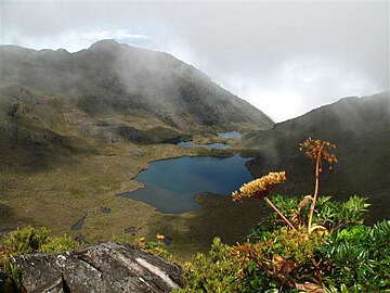 Parque nacional Chirripó En él se encuentra el cerro Chirripó, punto más alto del país (3819 msnm). Protege bosques premontanos y páramos, así como varios lagos glaciares. Cuenta con una abundante avifauna.