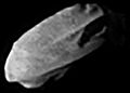 Daphnis (buwan sa Saturno)